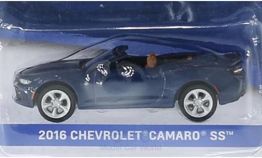 Miniature Chevrolet Camaro 1/64 Greenlight SS metallise bleue 2016 General Motors Series 1 ohne Vitrine Chevrolet Camaro 1/64 Greenlight SS metallise bleue 2016 General Motors Series 1 ohne Vitrine miniature
