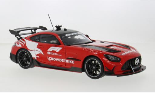 Miniature Mercedes AMG GT 1/18 Minichamps Black Series Formel 1 2024 1:18 Mercedes AMG GT 1/18 Minichamps Black Series Formel 1 2024 1:18 miniature