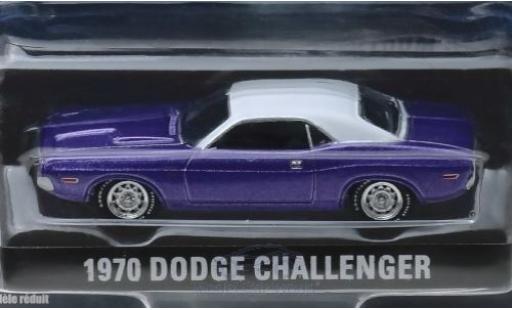 Miniature Dodge Challenger 1970 1/64 Greenlight metallise violetteee/blanche Graveyard Carz 1970 Dodge Challenger 1970 1/64 Greenlight metallise violetteee/blanche Graveyard Carz 1970 miniature