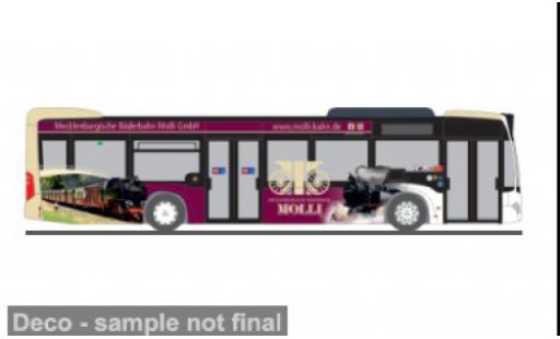 Mercedes Citaro 1/87 Rietze 2012 Mecklenburgische3 B&auml;derbahn Molli 1:87 miniature