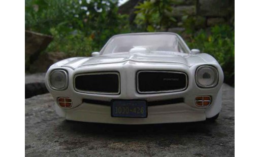 Pontiac Firebird 1973 1/18 Ertl trans am miniature